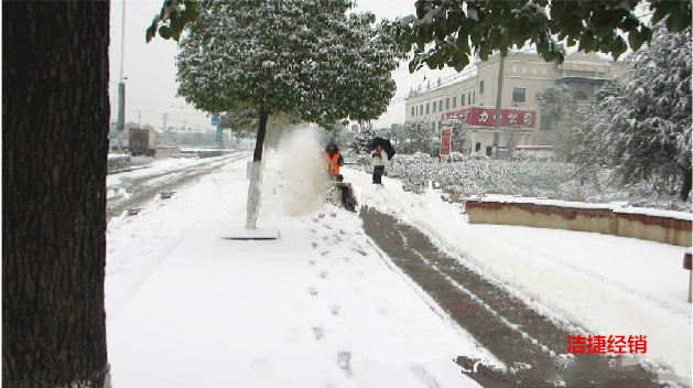 二合一除雪機