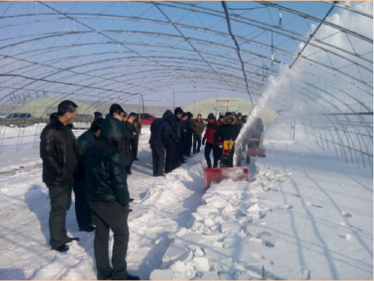 二合一除雪機(jī)